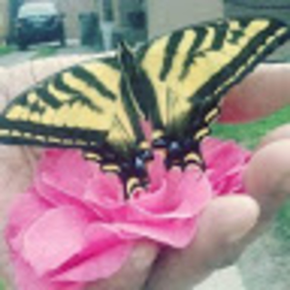 Meet your Posher, Cheryl - Picture 1 of 1